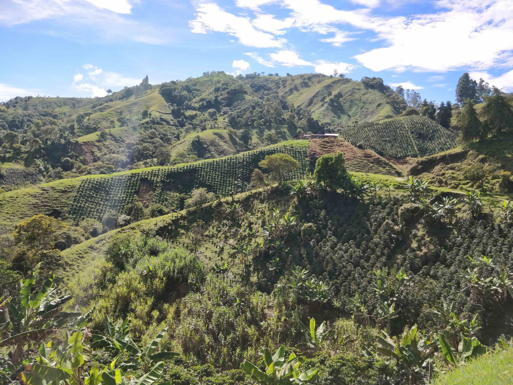 Kolumbie – La Victoria – na espresso | Lázeňská káva